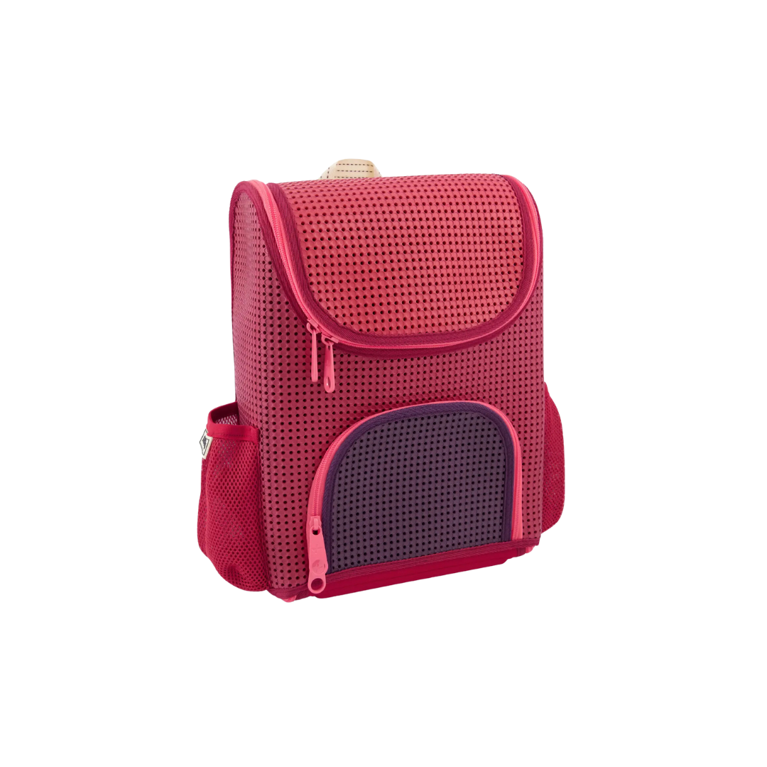 Student Backpack Multi Rose