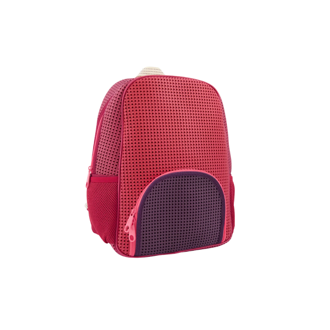 Starter Xl Backpack Multi Rose